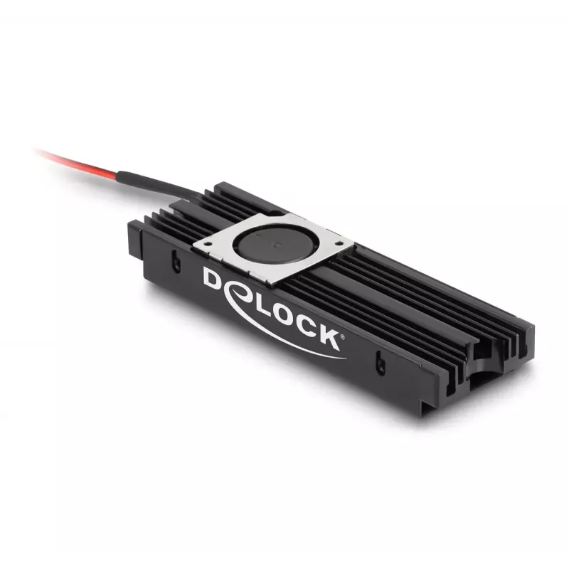 Heatsink DeLOCK Heat sink with Fan for M.2 SSD 2280 black Aluminium