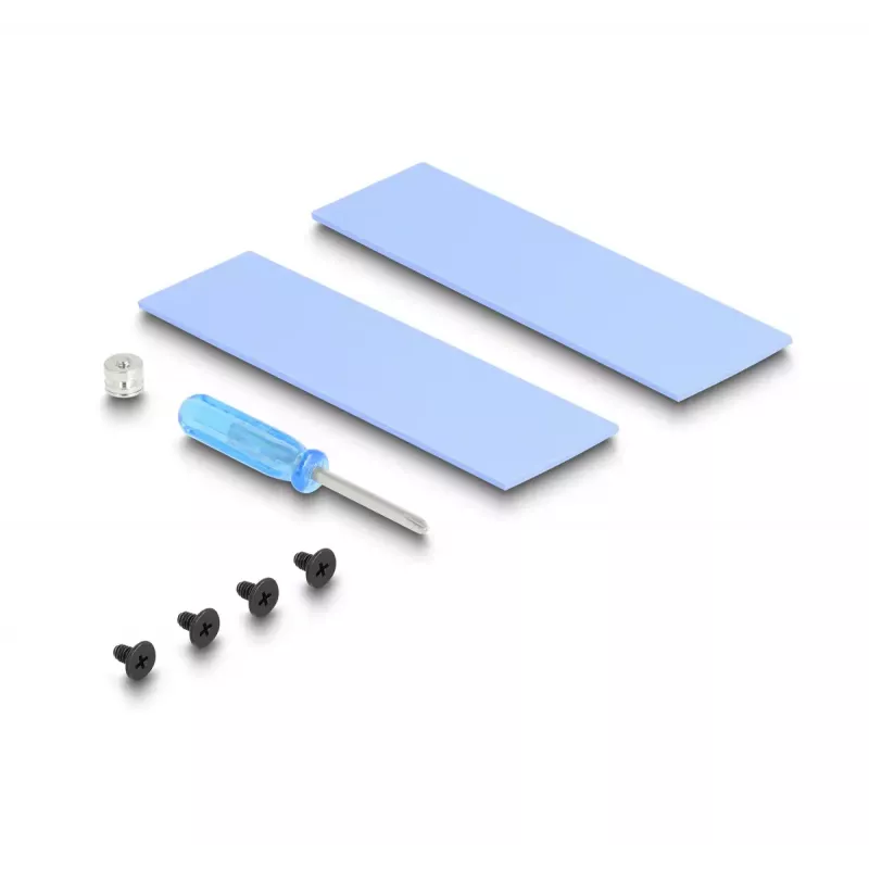 Heatsink DeLOCK Heat sink with Fan for M.2 SSD 2280 black Aluminium