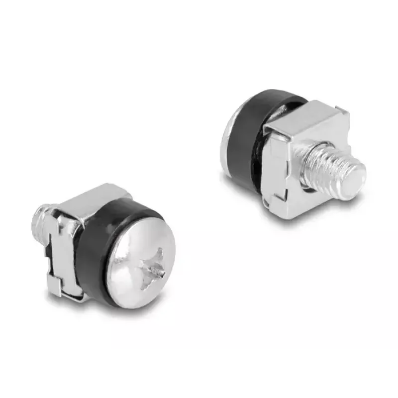 Bolts & nuts DeLOCK 42432 M6 100 pcs Plastic Steel