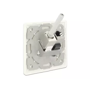 Socket outlet RJ-45 DeLOCK 86219