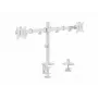 Equip 17 inch-32 inch Articulating Dual Monitor Desk Mount Bracket, White