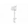 Equip 17 inch-32 inch Articulating Dual Monitor Desk Mount Bracket, White