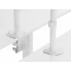 Equip 17 inch-32 inch Articulating Dual Monitor Desk Mount Bracket, White