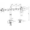 Equip 17 inch-32 inch Articulating Dual Monitor Desk Mount Bracket, White