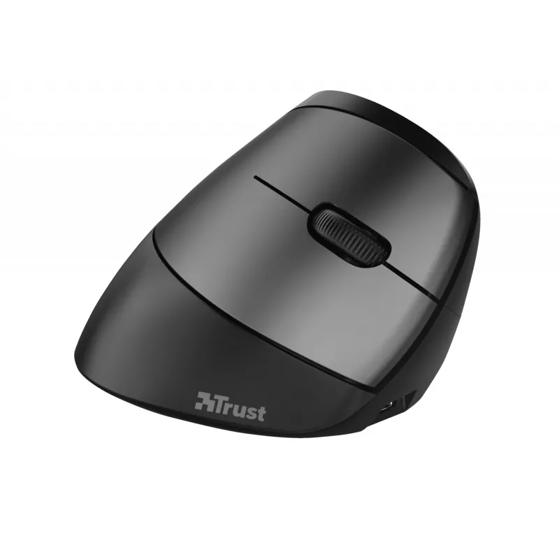 Trust Bayo Ergo mouse 24110, 6 buttons, right-hand, RF wireless, optical, 2400 DPI