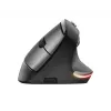 Trust Bayo Ergo mouse 24110, 6 buttons, right-hand, RF wireless, optical, 2400 DPI