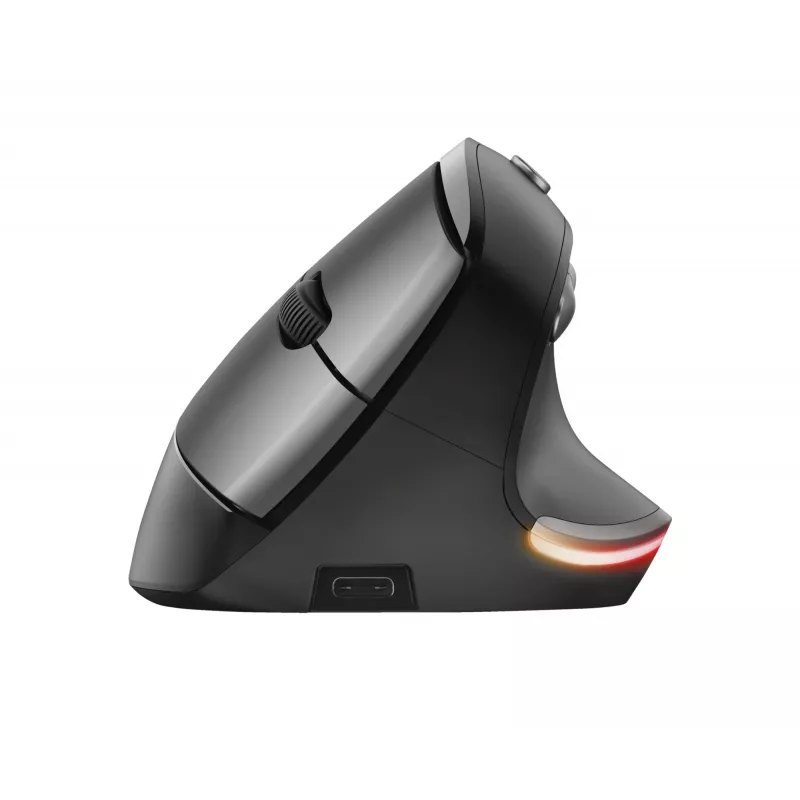 Trust Bayo Ergo mouse 24110, 6 buttons, right-hand, RF wireless, optical, 2400 DPI