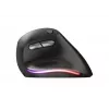 Trust Bayo Ergo mouse 24110, 6 buttons, right-hand, RF wireless, optical, 2400 DPI