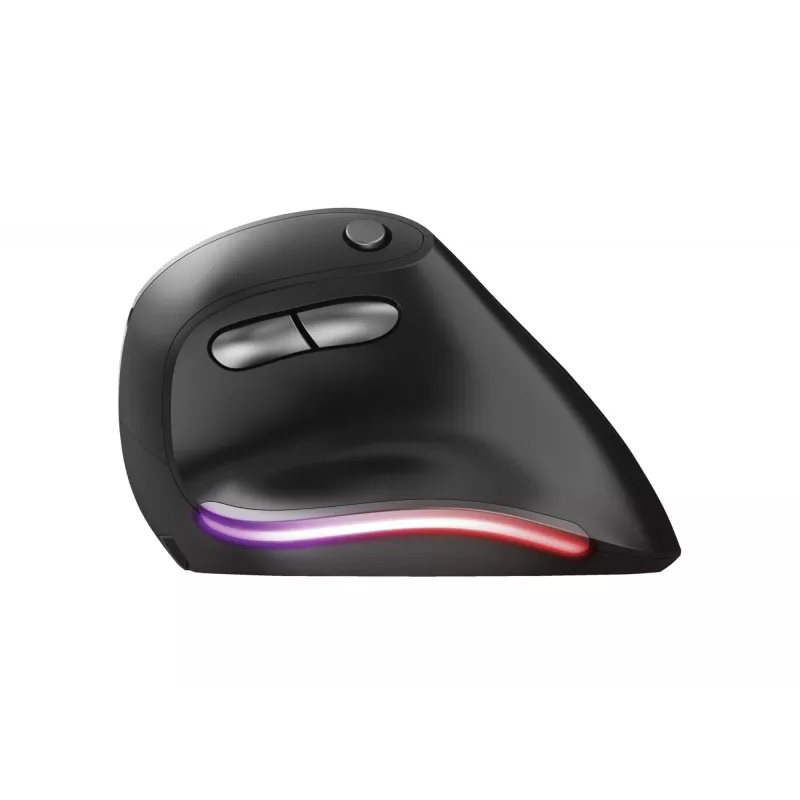 Trust Bayo Ergo mouse 24110, 6 buttons, right-hand, RF wireless, optical, 2400 DPI