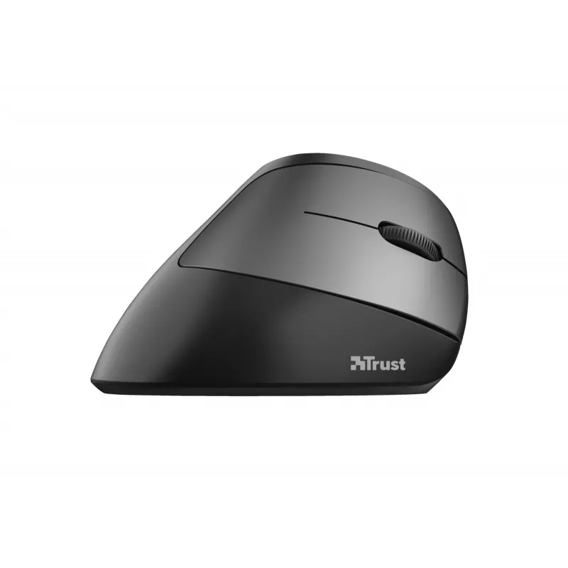 Trust Bayo Ergo mouse 24110, 6 buttons, right-hand, RF wireless, optical, 2400 DPI