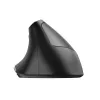 Trust Bayo Ergo mouse 24110, 6 buttons, right-hand, RF wireless, optical, 2400 DPI