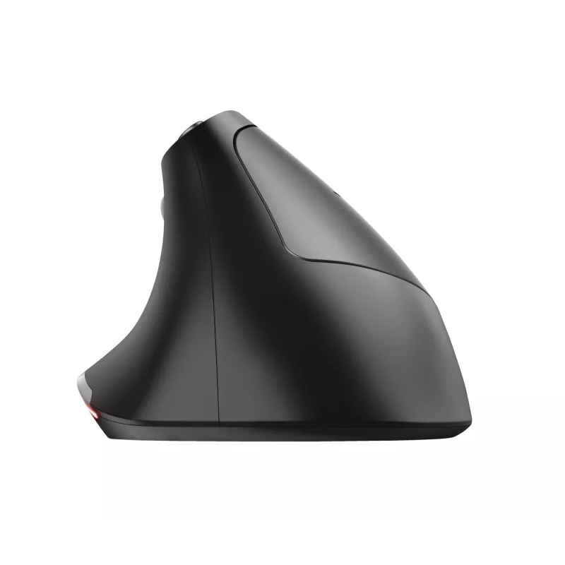 Trust Bayo Ergo mouse 24110, 6 buttons, right-hand, RF wireless, optical, 2400 DPI