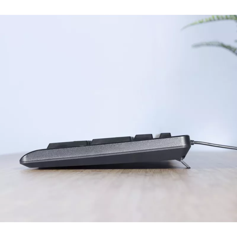 Trust TKM-250 keyboard Mouse included Office USB QWERTZ German Black