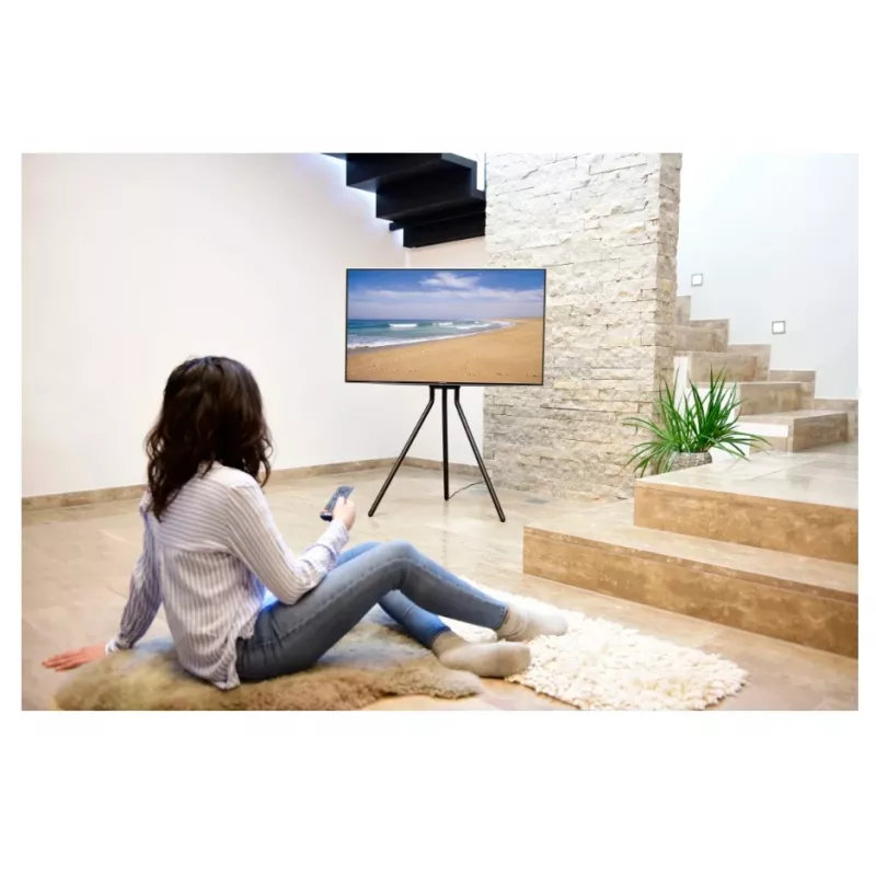 Hama 00220870 TV mount/stand 190.5 cm (75 inch) Black