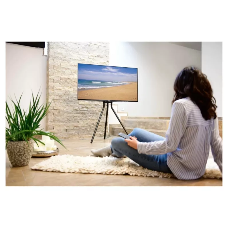 Hama 00220870 TV mount/stand 190.5 cm (75 inch) Black
