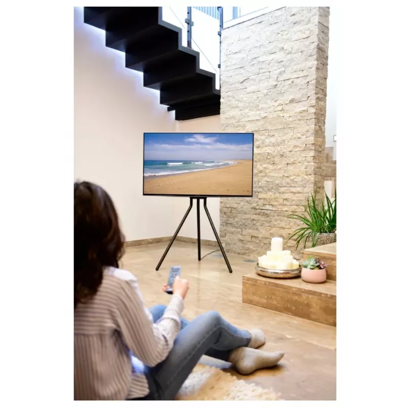 Hama 00220870 TV mount/stand 190.5 cm (75 inch) Black