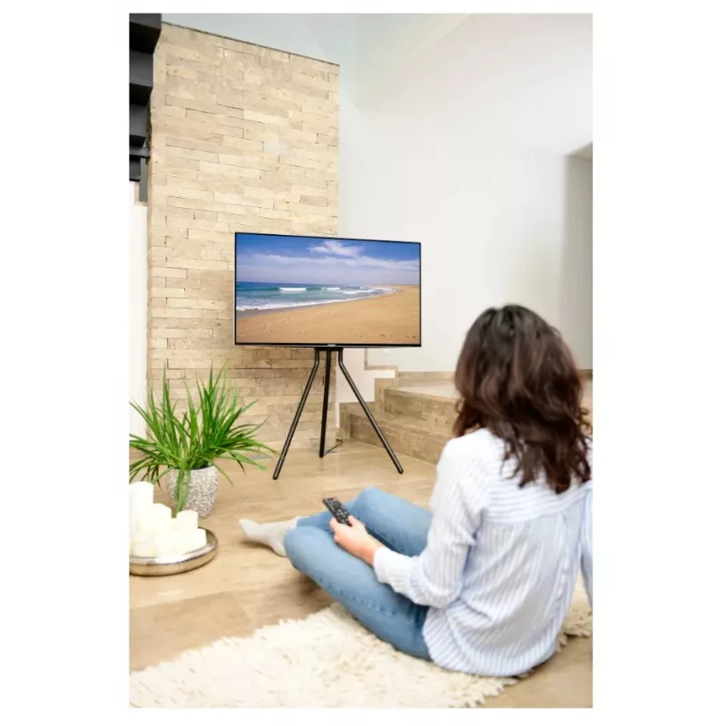 Hama 00220870 TV mount/stand 190.5 cm (75 inch) Black