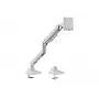 Equip 17 inch-49 inch Heavy-Duty Monitor Desk Mount Bracket, White