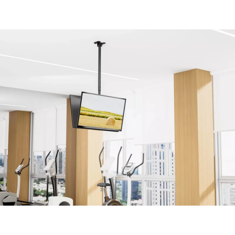 Ceiling mount dual back-to-back for 43 inch–86 inch screens EQUIP, tilt -20–5°, swivel ±180°, VESA 200x200–600x400, max load 100 kg, black