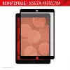 Paper-like Screen Protector Displex TABLET PAPERSENSE for iPad 7/8/9 Gen. and iPad Air 3, matt 10.5 inch (26.7 cm), 3H, removable