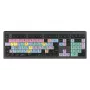 Keyboard LogicKeyboard LKB-FCPX10-A2M-FR wired USB AZERTY French full-size 105 keys black