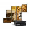 Matrox QuadHead2Go Q155 Multi-Monitor Controller Appliance / Q2G-H4K2