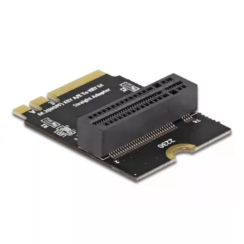 Adapter M.2 key A+E male to key M slot angled with holder DeLOCK 64137