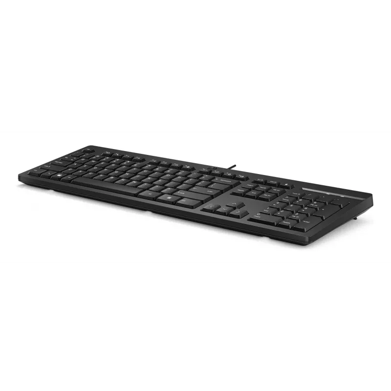HP 125 Wired Keyboard Full-size USB Membrane QWERTY Black