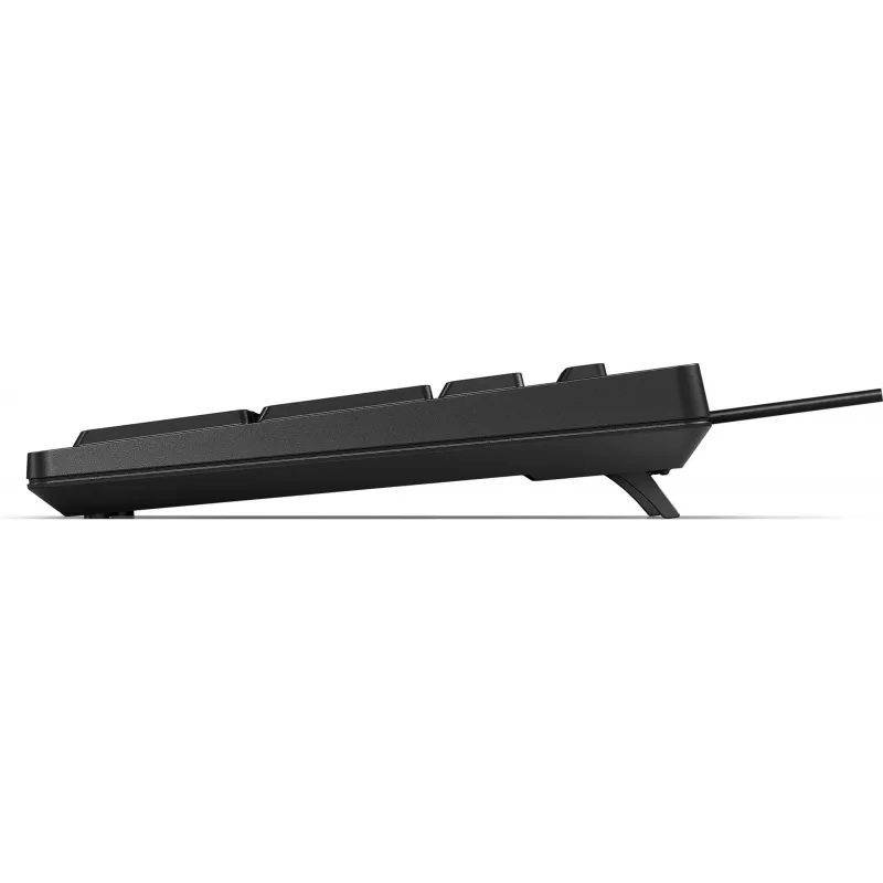 HP 125 Wired Keyboard Full-size USB Membrane QWERTY Black