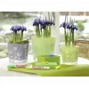 Chalk Marker Edding 4095 White 10 pc(s)