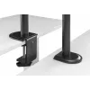 Equip 17 inch-32 inch Articulating Monitor Desk Mount Bracket