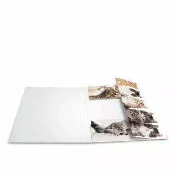 Folder Cardboard HERMA 19212 A4 Multicolour