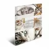 Folder Cardboard HERMA 19212 A4 Multicolour