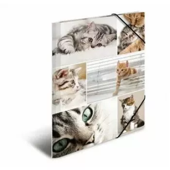 Folder Cardboard HERMA 19212 A4 Multicolour