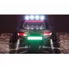 Monster truck Amewi Daphoenodon Electric engine 1:12