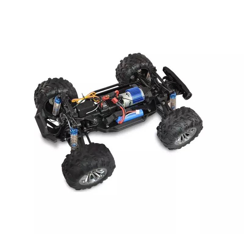 Monster truck Amewi Daphoenodon Electric engine 1:12