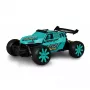 Buggy Amewi Ghost Electric engine 1:12 for ages 6 and up
