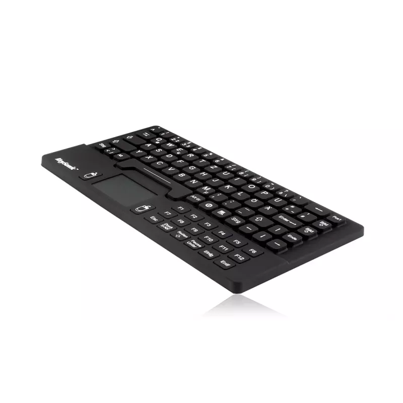 KeySonic KSK-5031IN (DE) keyboard Universal USB QWERTZ German Black