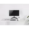 Equip 13 inch-32 inch Articulating Monitor Tabletop Stand