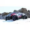 Monster truck Amewi Terminator Radio-Controlled model 1:10