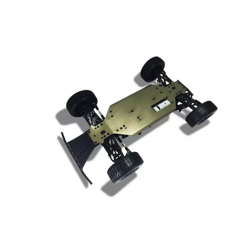 Off-road car Amewi Dune Radio-Controlled model 1:10