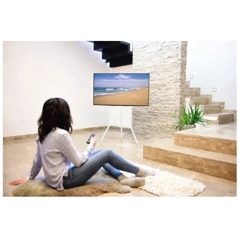 Hama 00220871 TV mount/stand 190.5 cm (75 inch) White