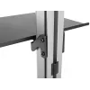 Equip 37 inch-70 inch Floor-to-Ceiling TV Bracket Maximum weight capacity 30 kg