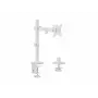 Equip 17 inch-32 inch Articulating Monitor Desk Mount Bracket, White