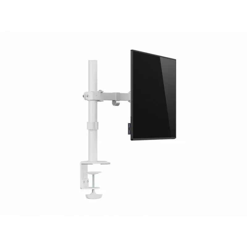 Equip 17 inch-32 inch Articulating Monitor Desk Mount Bracket, White