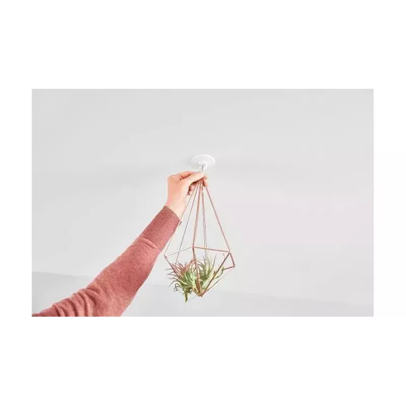 Utility hook TESA 77781 Indoor White 1 pc(s)