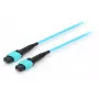 Equip MTP/MTP Trunk Fiber Optic Patch Cable, OM4, 7m, 7 m, OM4, MTP, MTP