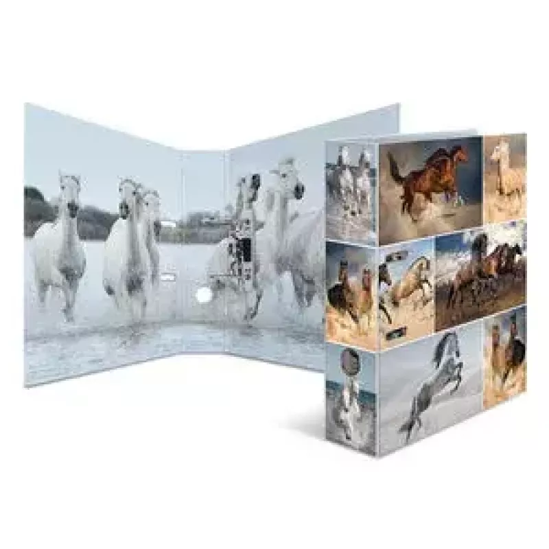 Ring binder A4 HERMA 7164