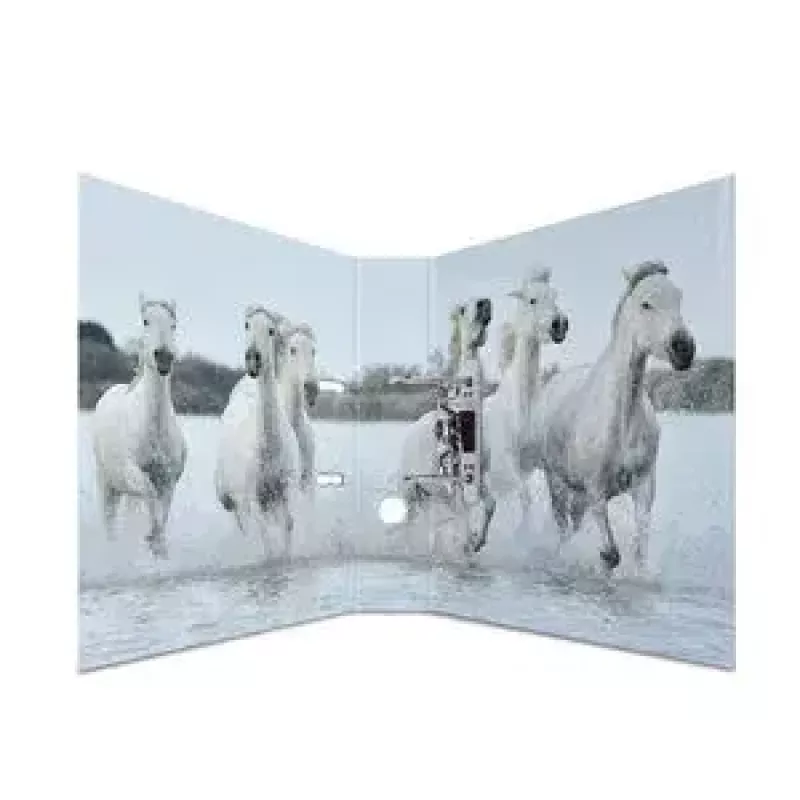 Ring binder A4 HERMA 7164