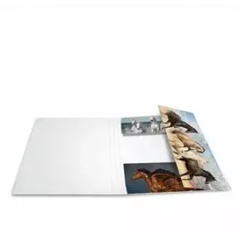 Folder Cardboard HERMA 19217 A3 Multicolour